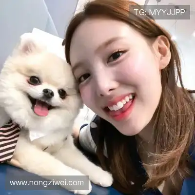 石芯笛
